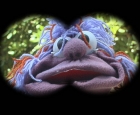 matt cannok.jpg